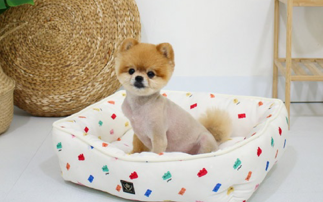 Summer<br>Pet Cushion